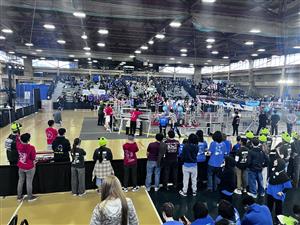 crowd